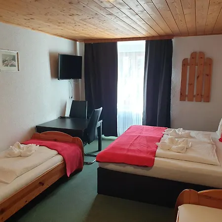 Weisses Roessel-cavallo Bianco Otel Werfen